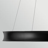 Larousse 1 Light Large Pendant Light - Black & Champagne Bronze