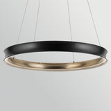 Larousse 1 Light Large Pendant Light - Black & Champagne Bronze
