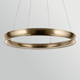 Larousse 1 Light Large Pendant Light - Champagne Bronze