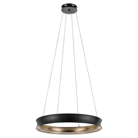 Larousse 1 Light Medium Pendant Light - Black & Champagne Bronze