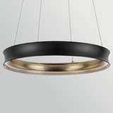 Larousse 1 Light Medium Pendant Light - Black & Champagne Bronze
