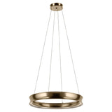 Larousse 1 Light Medium Pendant Light - Champagne Bronze