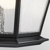Mount Vernon 1 Light Large Outdoor Lantern - Black