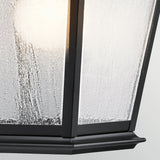 Mount Vernon 1 Light Medium Outdoor Lantern - Black