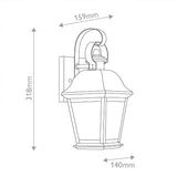 Mount Vernon 1 Light Small Outdoor Lantern - Old Bronze