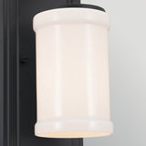 Vetivene 1 Light Wall Light - Black