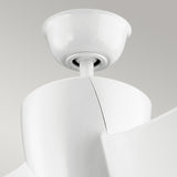 Phree 56in Ceiling Fan with Light - White
