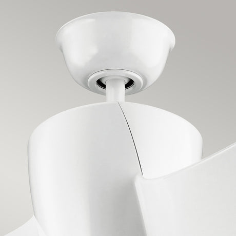 Phree 56in Ceiling Fan with Light - White