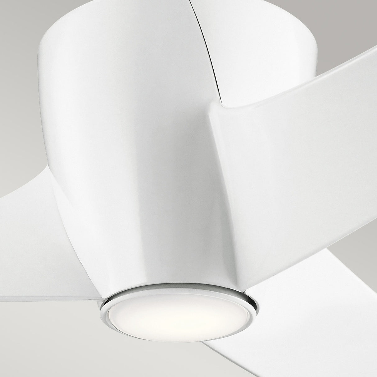 Phree 56in Ceiling Fan with Light - White