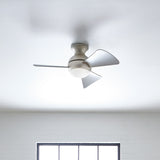 Sola 34in Ceiling Fan with Light - Brushed Nickel