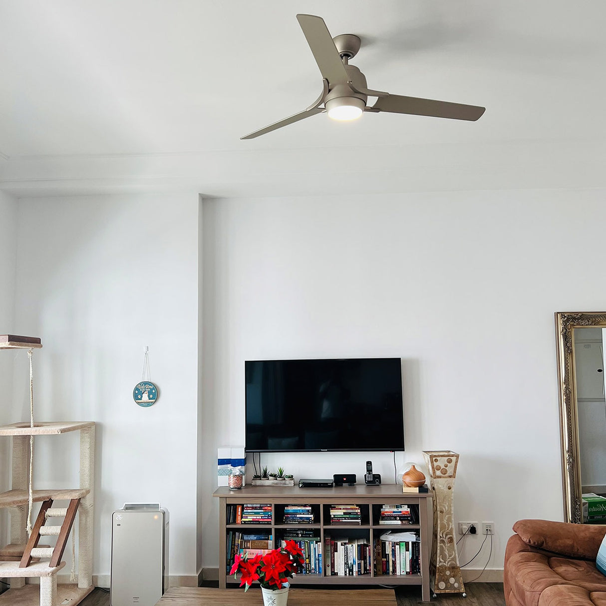 Zeus 60in Ceiling Fan with Light - Brushed Nickel