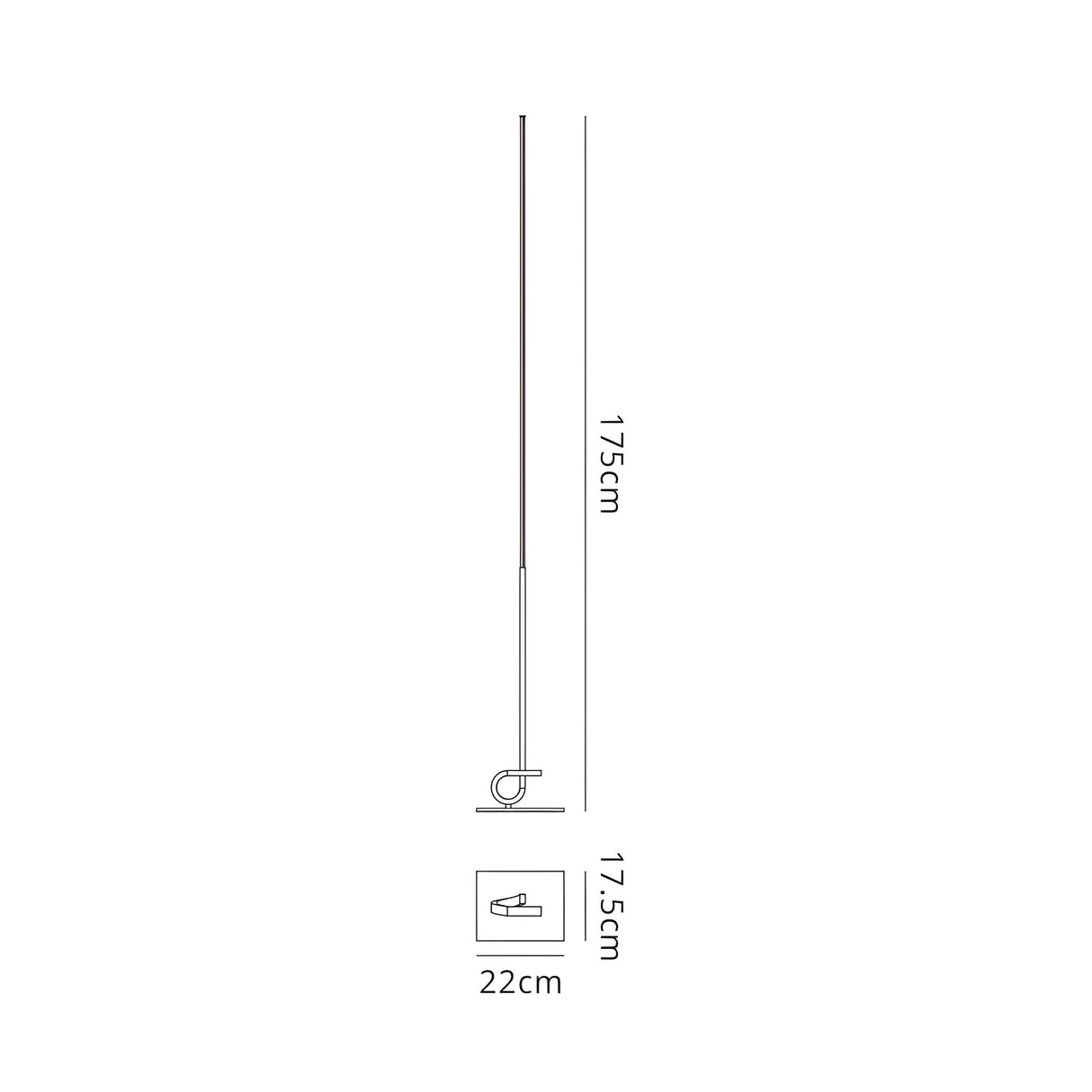Line drawing of the Cinto Dimmable LED Floor Lamp 20W 3000K in antique brass, 175 cm high and 22 cm wide, with a round base shown in close-up—an elegant lighting choice for contemporary interiors.
