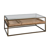 Luzon Iron & Mango Wood Display Coffee Table - Brass