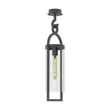 Maya E27 ceiling light with a slim anthracite frame and cylindrical clear glass shade, curved decorative hook mount and ceiling rose, shown on a plain white background.