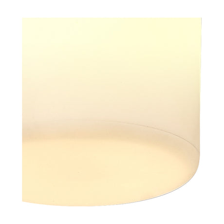 Glaciar Acrylic Spotlight, a small white ceiling spotlight with a rounded acrylic diffuser face, 85mm diameter, shown close-up against a plain light background, 9W warm white 3000K.