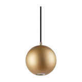 Magneto Track Light pendant with a 55mm gold ball head and black suspension cable on a slim drop, shown against a plain white background.