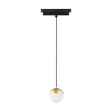 Magneto Track Light pendant with a black track-mounted head, slender black stem, and a small gold ball shade with white diffuser, shown on a plain white background.