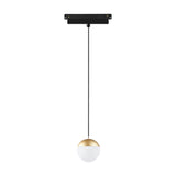 Magneto 10W Dimmable Track Light with a black track mount and slim black cord suspending a small gold and white globe shade, shown on a plain white background.