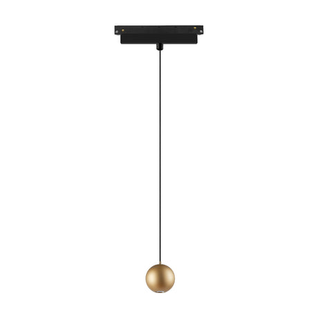 Magneto 7W Dimmable Track Light with black rectangular track adapter and long black cable suspending a small round gold ball head, shown on a plain white background.