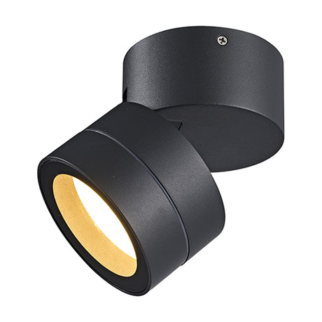 Saler 12W IP65 dimmable outdoor wall light in dark grey, cylindrical base with a tiltable head revealing a warm white GX53 LED, shown on a plain white background.
