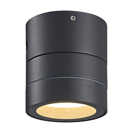Saler outdoor wall light, small cylindrical dark grey fixture with tiltable head and visible mounting screw, shown on a plain white background.