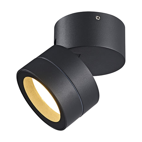 Saler 12W IP65 dimmable outdoor wall light in dark grey aluminium, round adjustable head with recessed lens, shown on a plain white background.