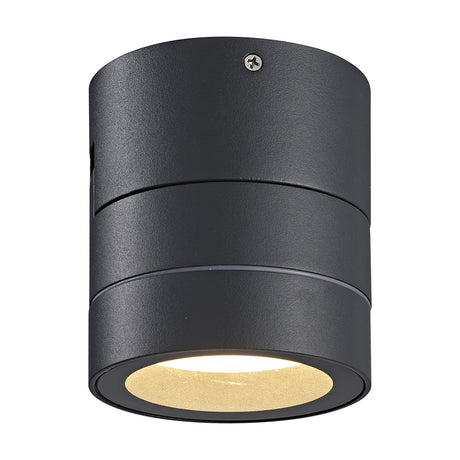Saler 12W IP65 dimmable outdoor wall light in dark grey aluminium, a cylindrical downlight-style fixture with a recessed glass lens and visible mounting screw, shown on a plain white background.