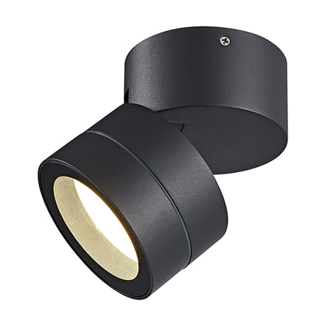 Saler 12W IP65 dimmable outdoor wall light in dark grey aluminium, showing the round base plate and tilting spot head with GX53 LED lamp, on a plain white background.