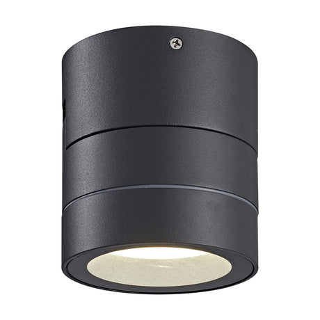 Saler 12W IP65 dimmable outdoor wall light in dark grey aluminium, cylindrical design with visible screw fixing and central GX53 LED downlight, shown on a plain white background.