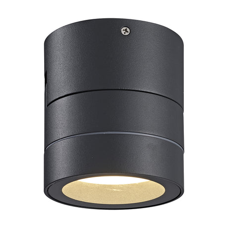 Saler IP65 outdoor wall light in dark grey aluminium, cylindrical design with visible screw detail and recessed GX53 lamp, shown on a plain white background.
