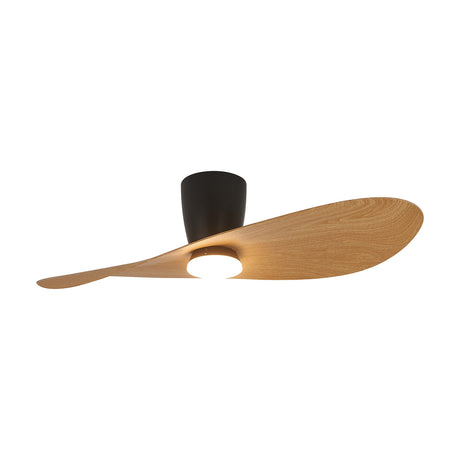 Surfer Wood Ceiling Fan with Light, 1.12m two-blade design in natural wood with a matte black centre housing and integrated LED diffuser, shown on a plain white background.