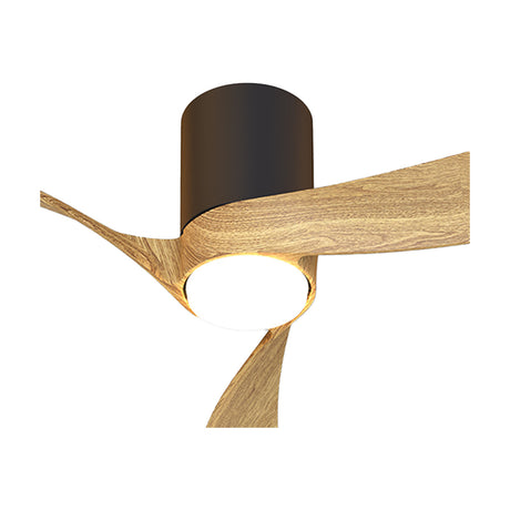Nemo ceiling fan with light, wood-finish blades and black cylindrical housing, integrated round LED light centred beneath, shown close-up on a white background.