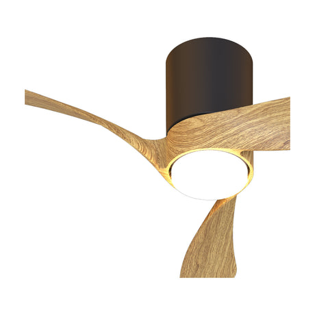 Ceiling fan with light, Nemo 72cm, wood-toned blades and black cylindrical housing with round white LED light, shown on a plain background.