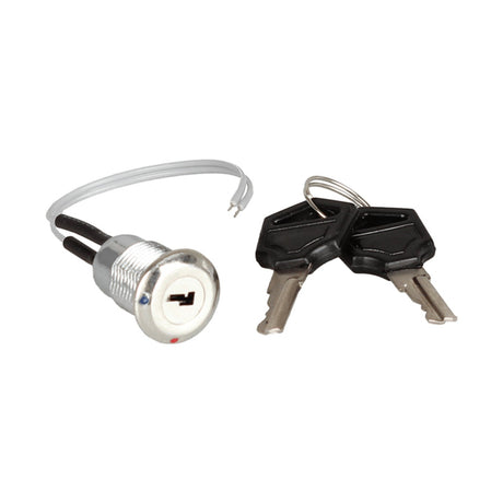 ESP Lock Barrel Set for MAG2/2P/4/4P panels, showing chrome zinc alloy barrel with wired terminals and two black keys on a ring, plain white background.