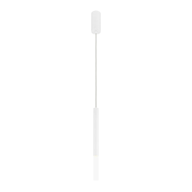 Pendant lamp Pro Shade 6W 4000K