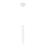 Pendant lamp Pro Focus GU10 6W