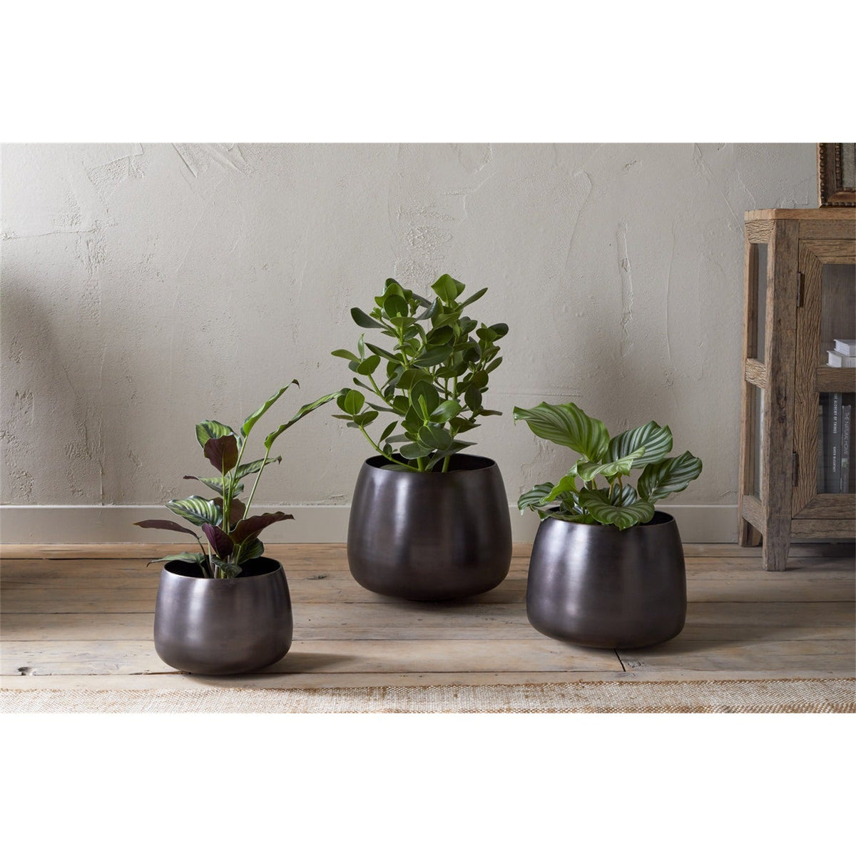 Maliki Medium Iron Planter - Aged Bronze