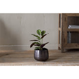 Maliki Small Iron Planter - Aged Bronze