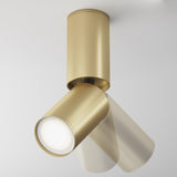 Mobility and control features of Focus S Long Single Surface-Mounted Spotlight in gold, demonstrating its flexible light direction