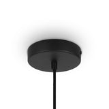 The Roots Pendant Light 35cm features a black ceiling canopy and a cord against a white backdrop. Its circular canopy complements the beige wooden globe dome shade, with the cord elegantly hanging from its center, part of the Modern Nature collection.