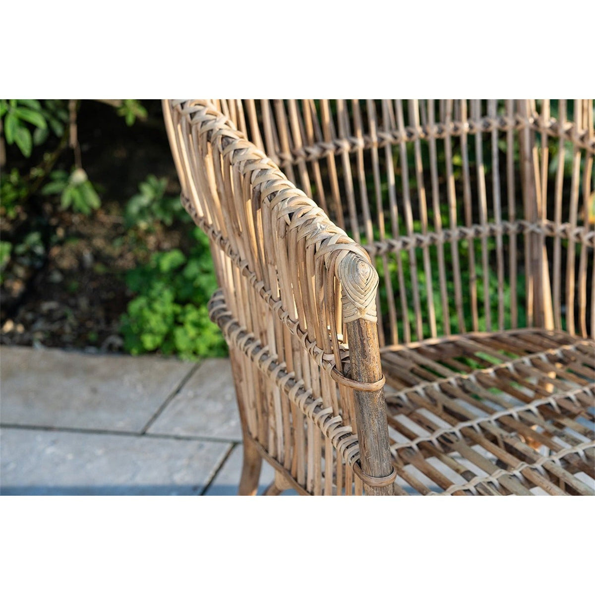 Nesari Rattan Armchair - Natural