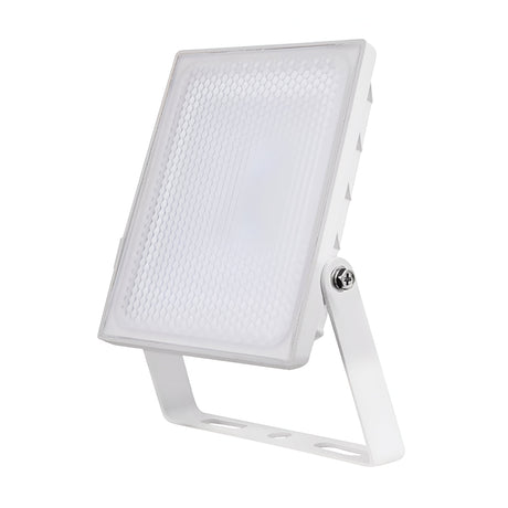 LED Security Light 10W - White