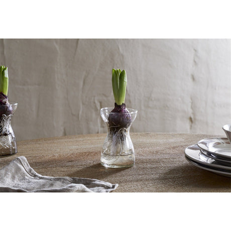 Enir Hammered Recycled Glass Hyacinth Vase - Clear