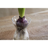 Enir Hammered Recycled Glass Hyacinth Vase - Clear