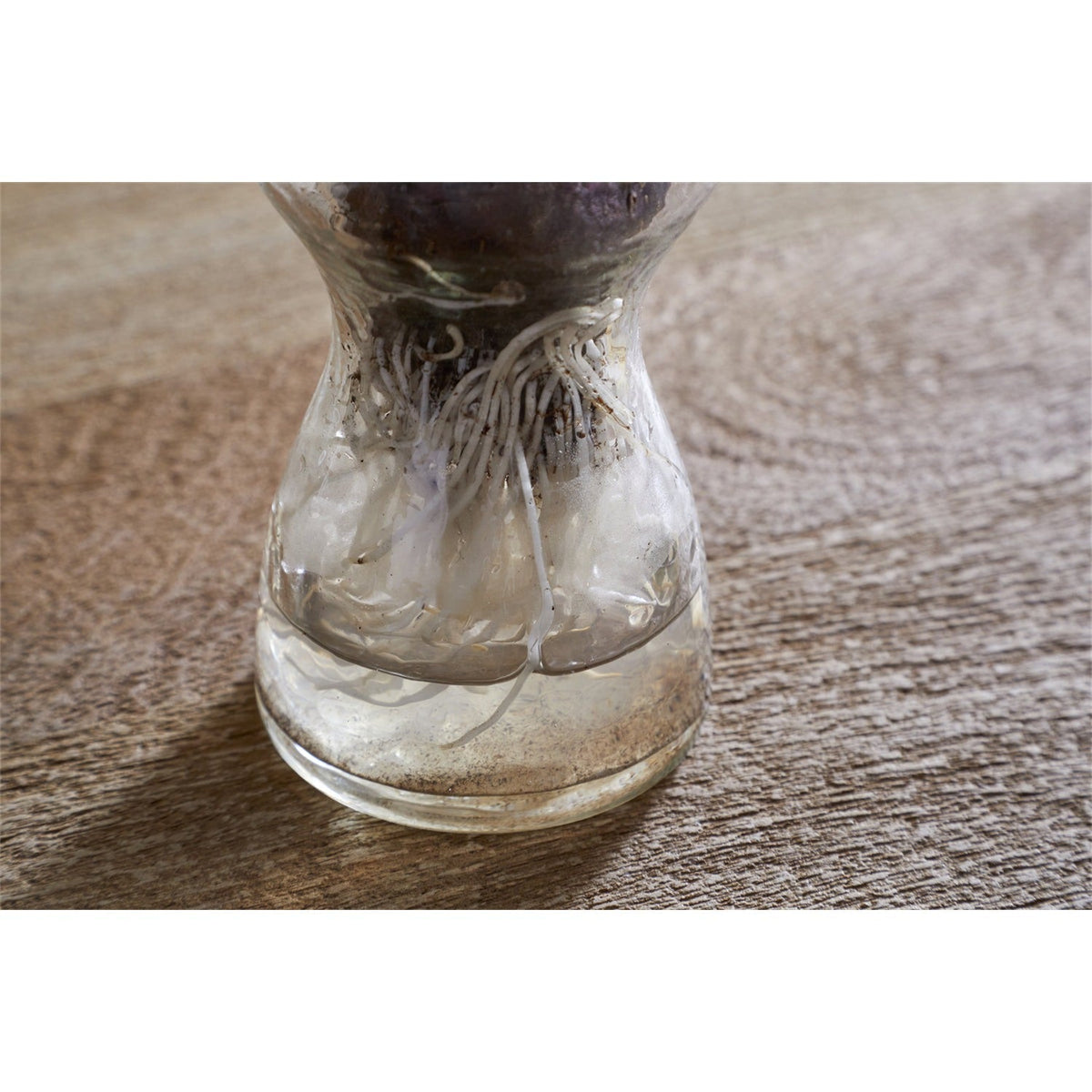 Enir Hammered Recycled Glass Hyacinth Vase - Clear