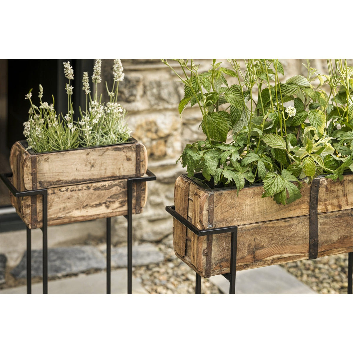 Amazzi Large Indoor Planter Stand - Natural & Black
