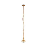 Sakti Brass & Recycled Glass Pendant Light - Clear