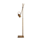 Thenkara Directional Floor Lamp - Antique Brass