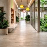 A modern hallway features light wood flooring, large windows, indoor plants, built-in shelves, and four Prisma LED Glass Pendant Lights. Natural light fills the space, creating a fresh and inviting atmosphere.