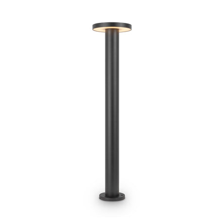 Outdoor Landscape ground lighting Wald 12W 3000K